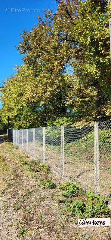 Terrain à LESCURE-D&#039;ALBIGEOIS