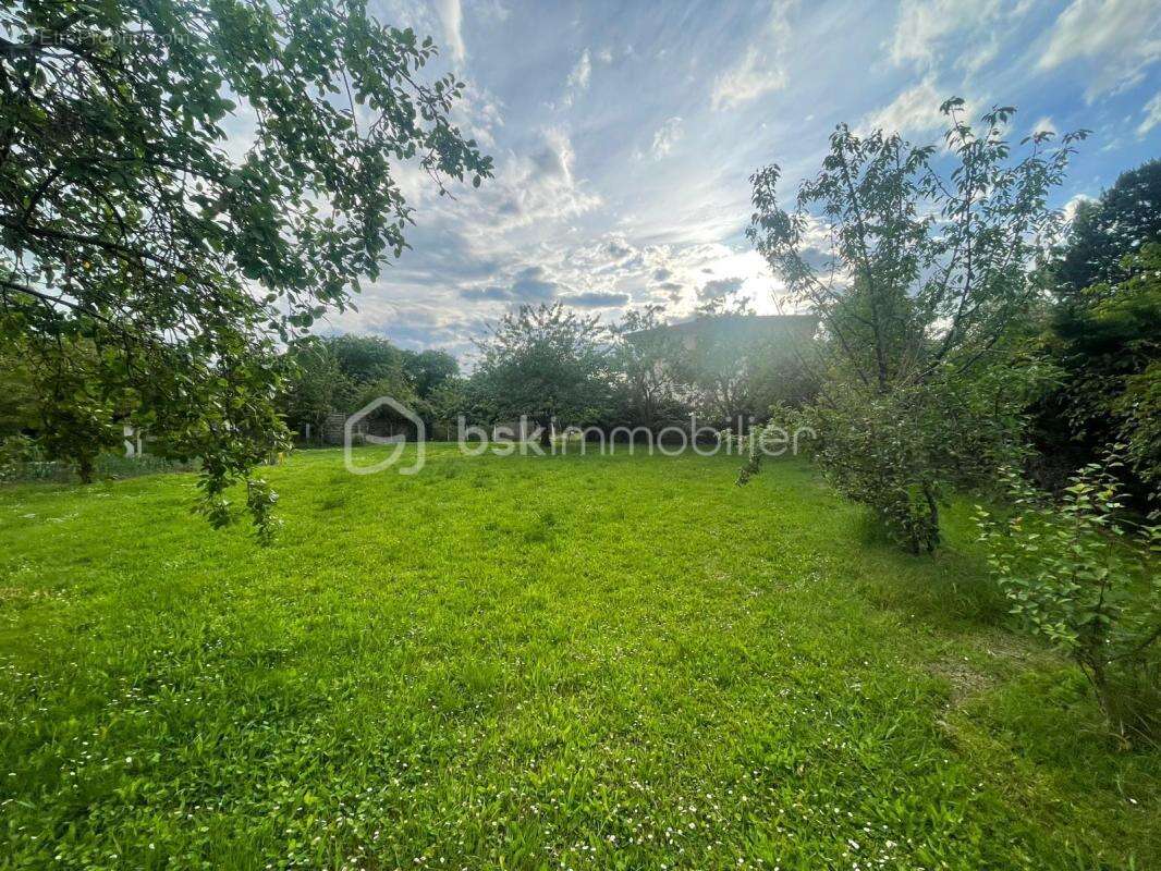 Terrain à vendre  887 m² à Blagnac - photo 8