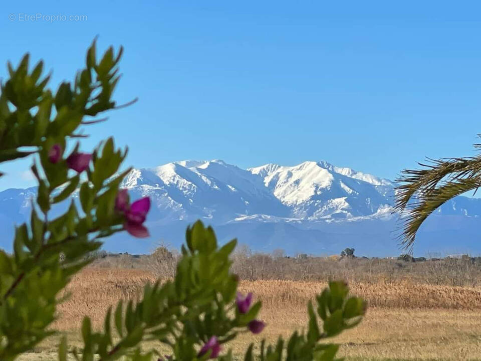 Terrain à PERPIGNAN