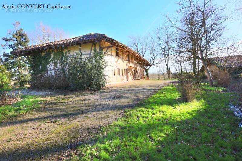 Maison à MONTREVEL-EN-BRESSE