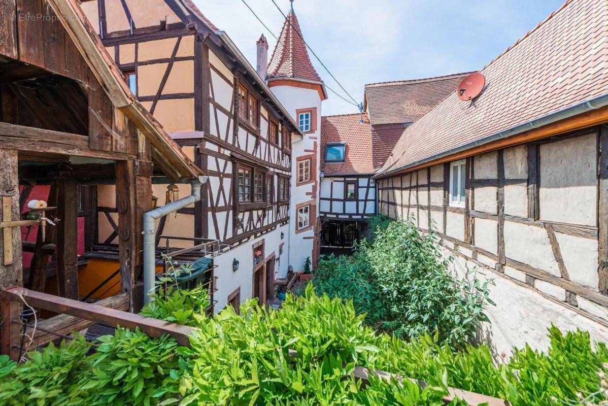 Maison à WISSEMBOURG