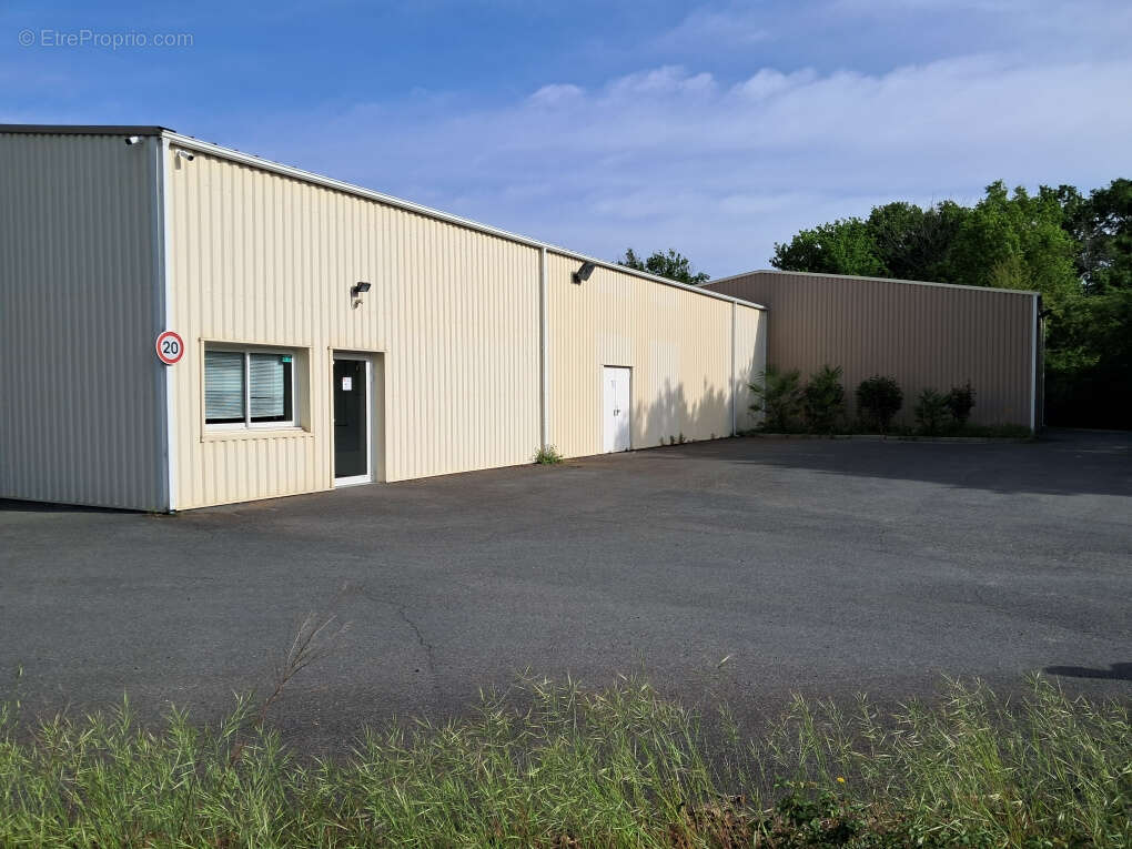 Commerce à ESCOURCE