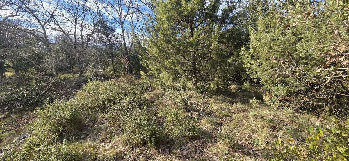 Terrain à SAINT-QUENTIN-LA-POTERIE