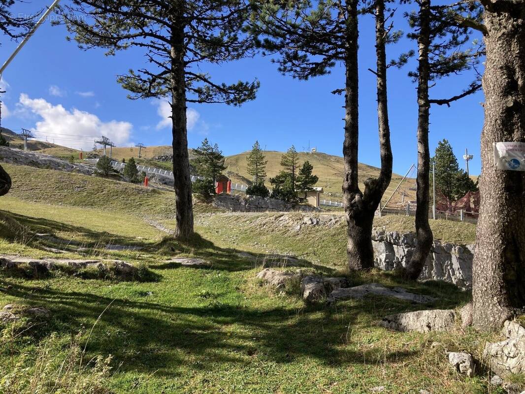 Appartement à ARETTE