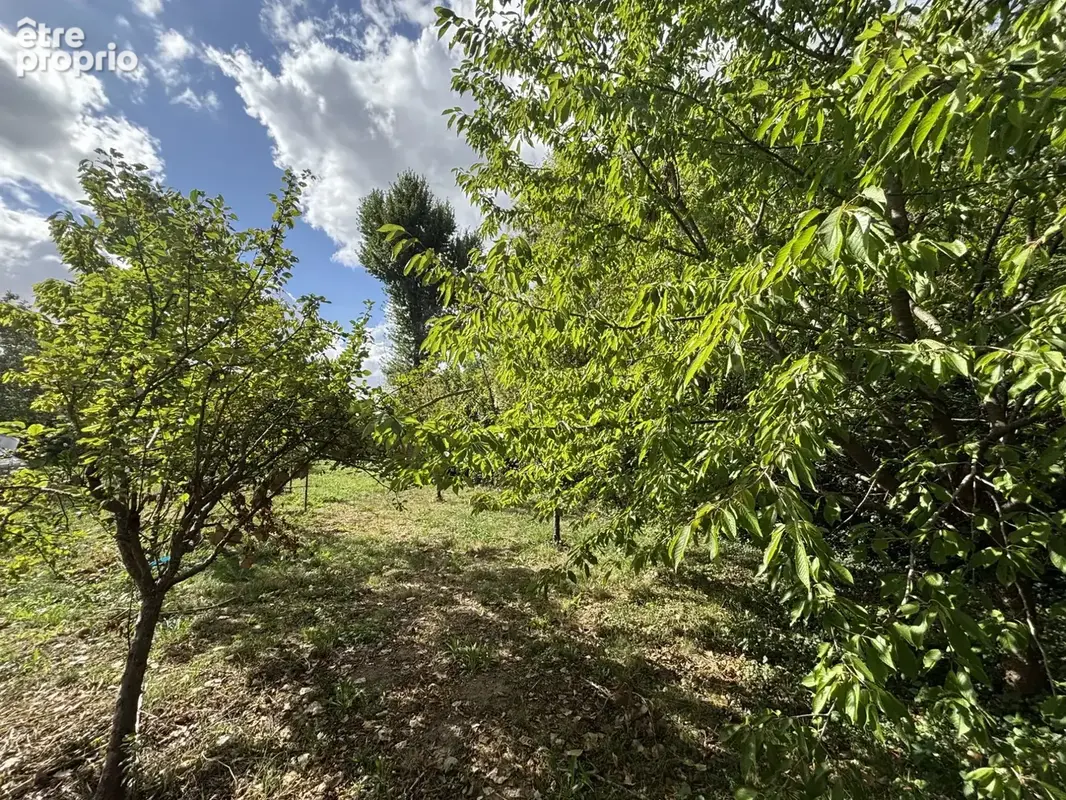 Terrain 1 440 m² à vendre à Le Vaudoue (77123) - photo 5