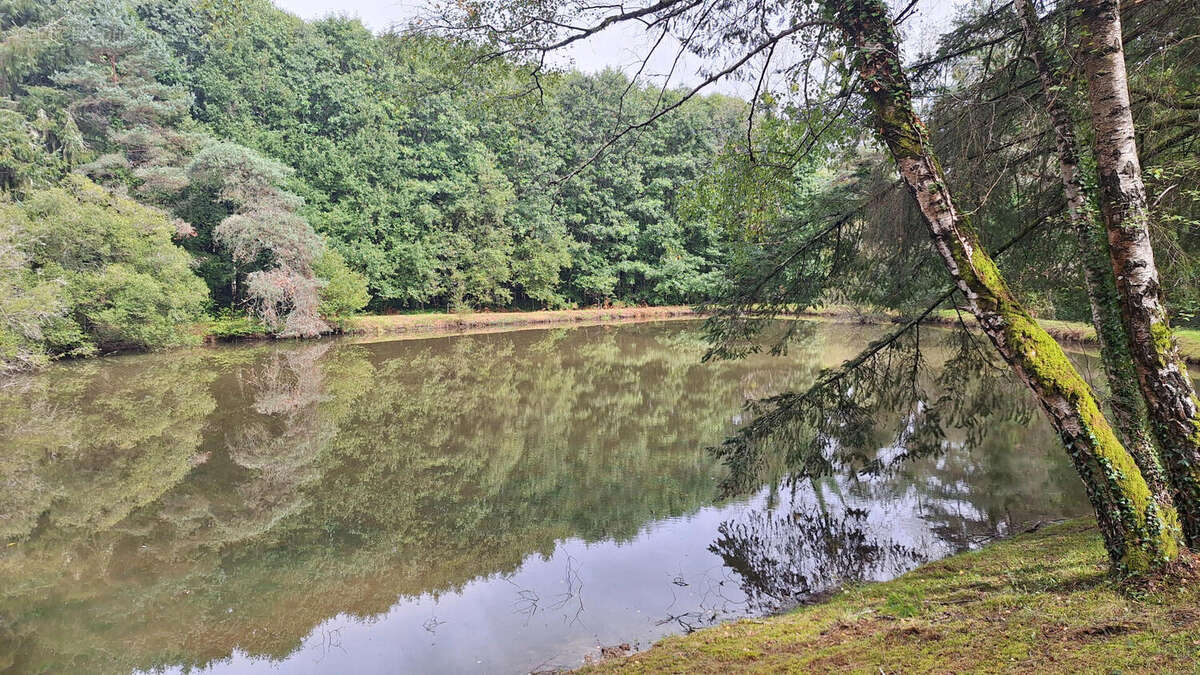 20250925_151722 - Terrain à PIEGUT-PLUVIERS