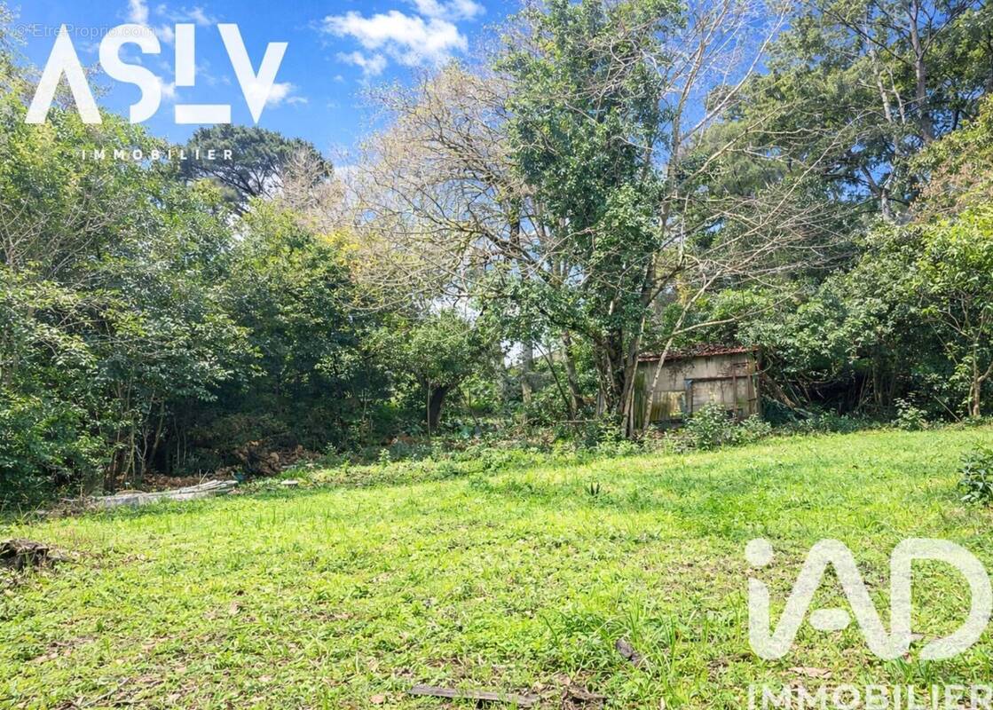 Photo 1 - Terrain à LA SEYNE-SUR-MER