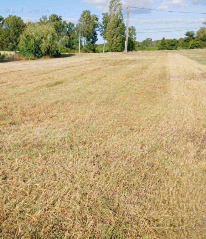 Terrain 1257 m² à Eyrans  - photo 3