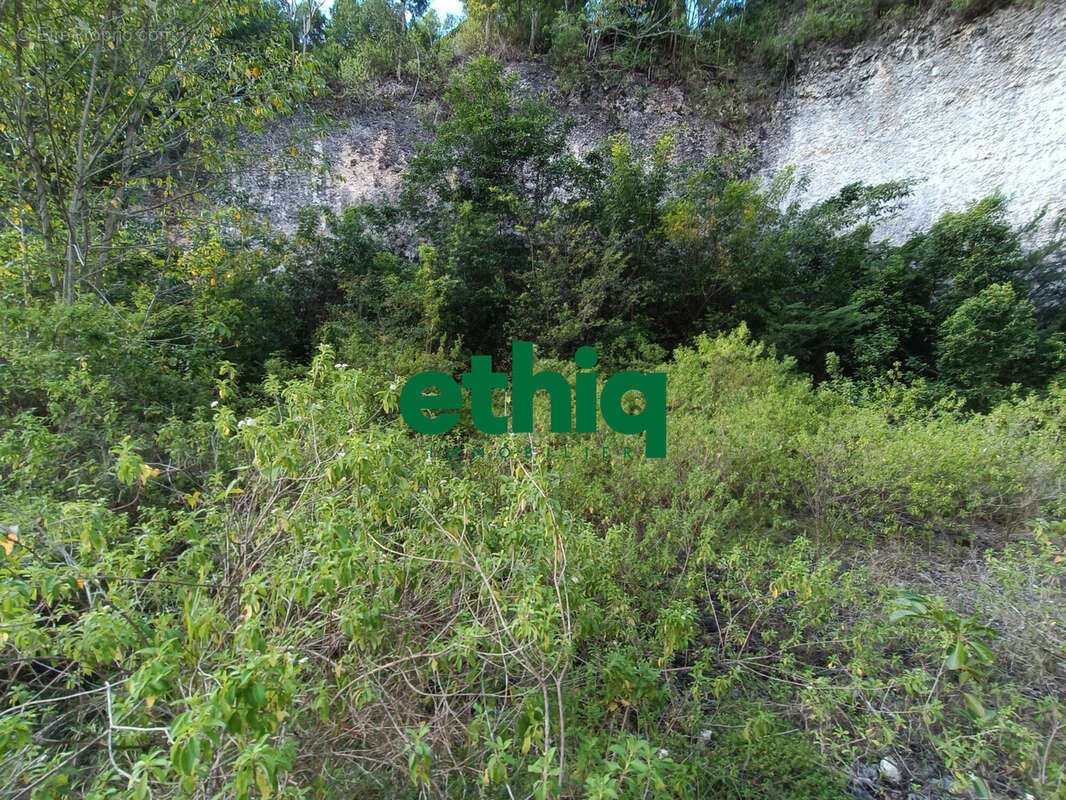 Terrain à SAINTE-ANNE