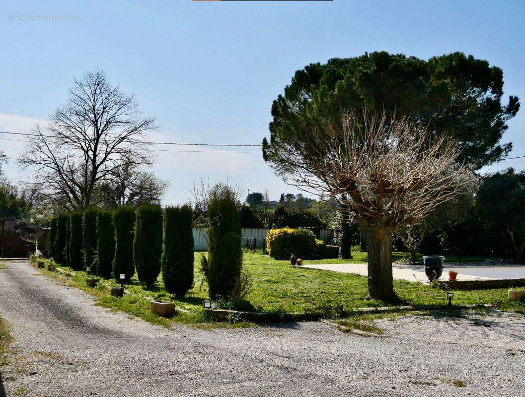 Maison À Vendre - photo 14