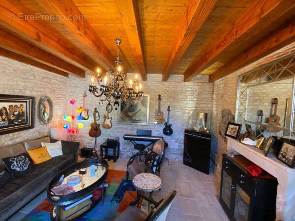 Gite 1 living room - Maison à CHENON