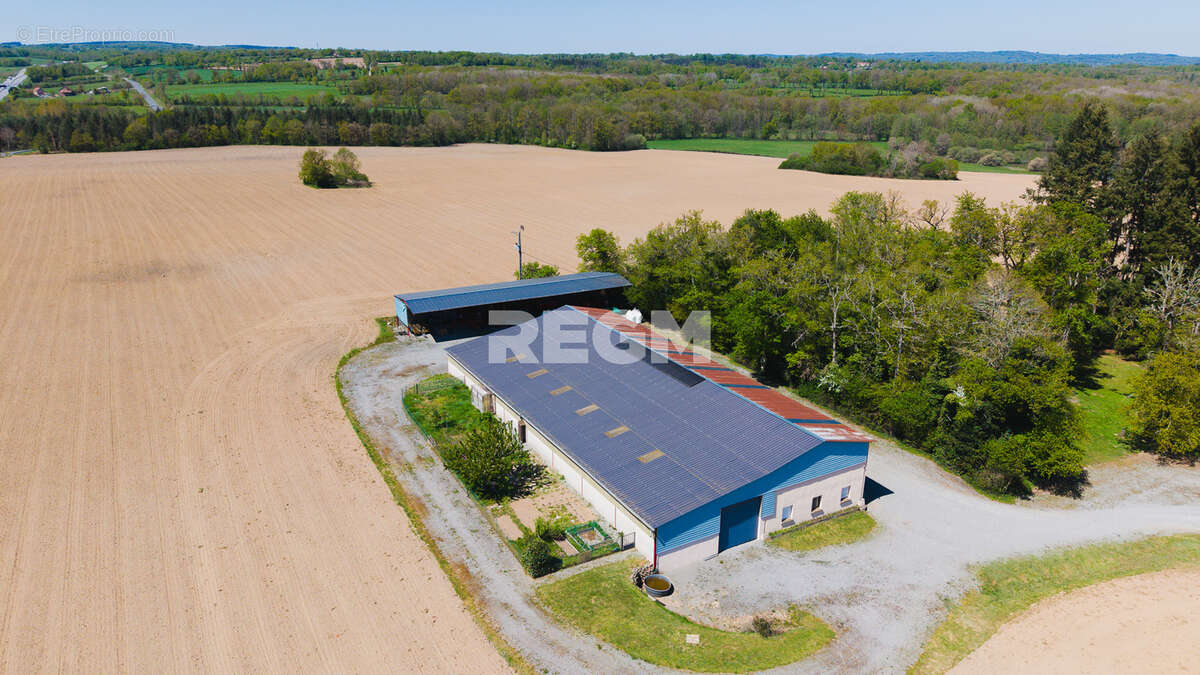 Domaine d’exception de 54,5 hectares avec maison de 300 m2, étang privé, piscine et 1 500 m2 de dépendances - photo 11