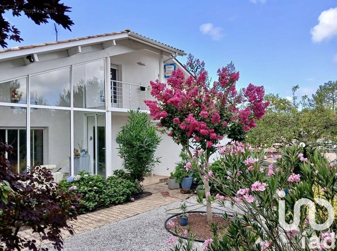 Photo 1 - Maison à LA TESTE-DE-BUCH