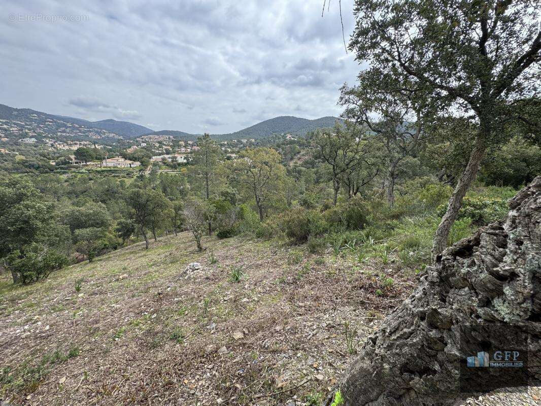 Terrain à LA LONDE-LES-MAURES
