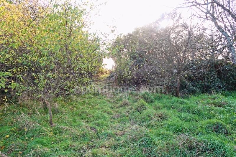 Terrain à VELAINE-SOUS-AMANCE