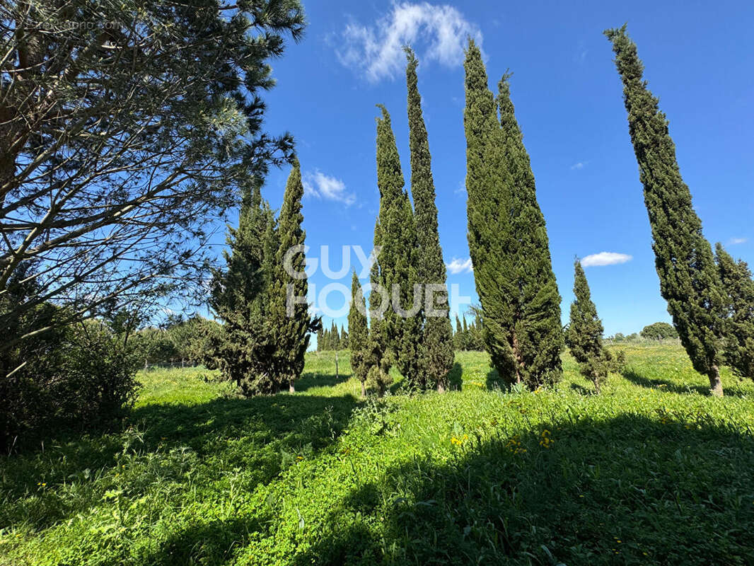 Terrain à SAINT-CYPRIEN