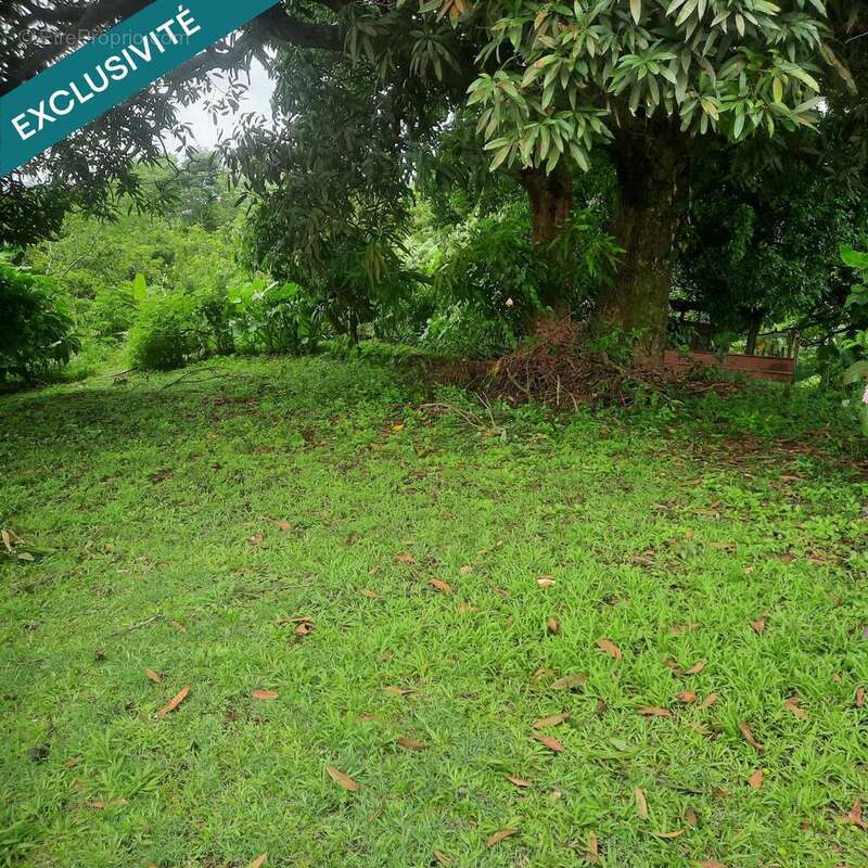 Photo 4 - Terrain à LE ROBERT