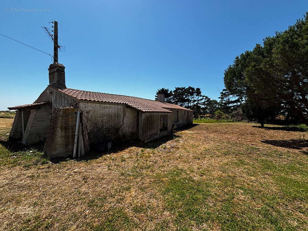 Maison à BOUIN