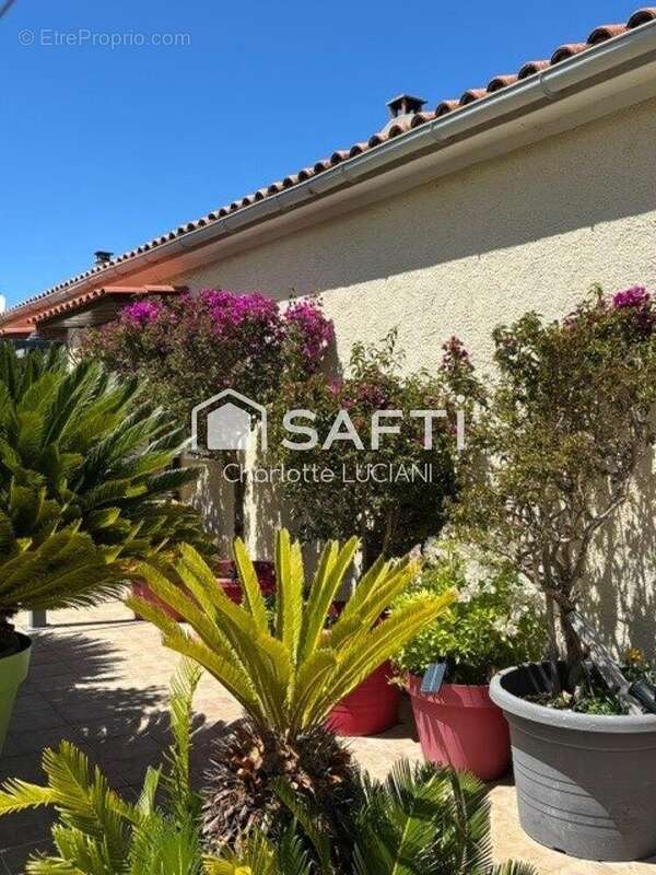 Photo 5 - Maison à SARTENE