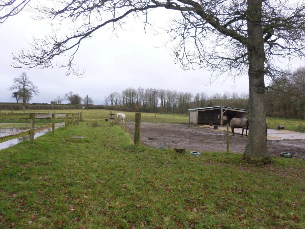 Maison à SAINT-MARTIN-CHOQUEL