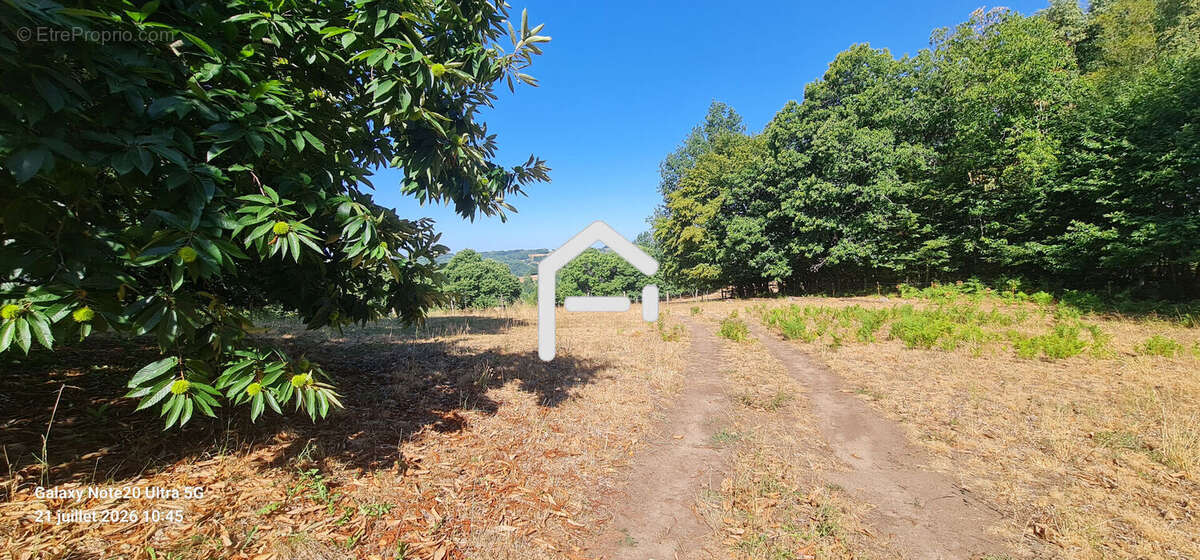 Terrain 100271 m² à Perpezac-Le-Noir  - photo 7