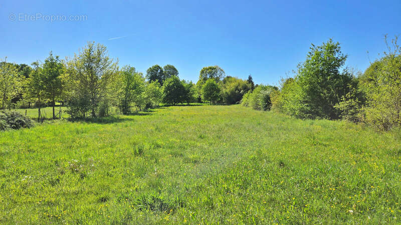 Terrain à ORADOUR-SUR-GLANE