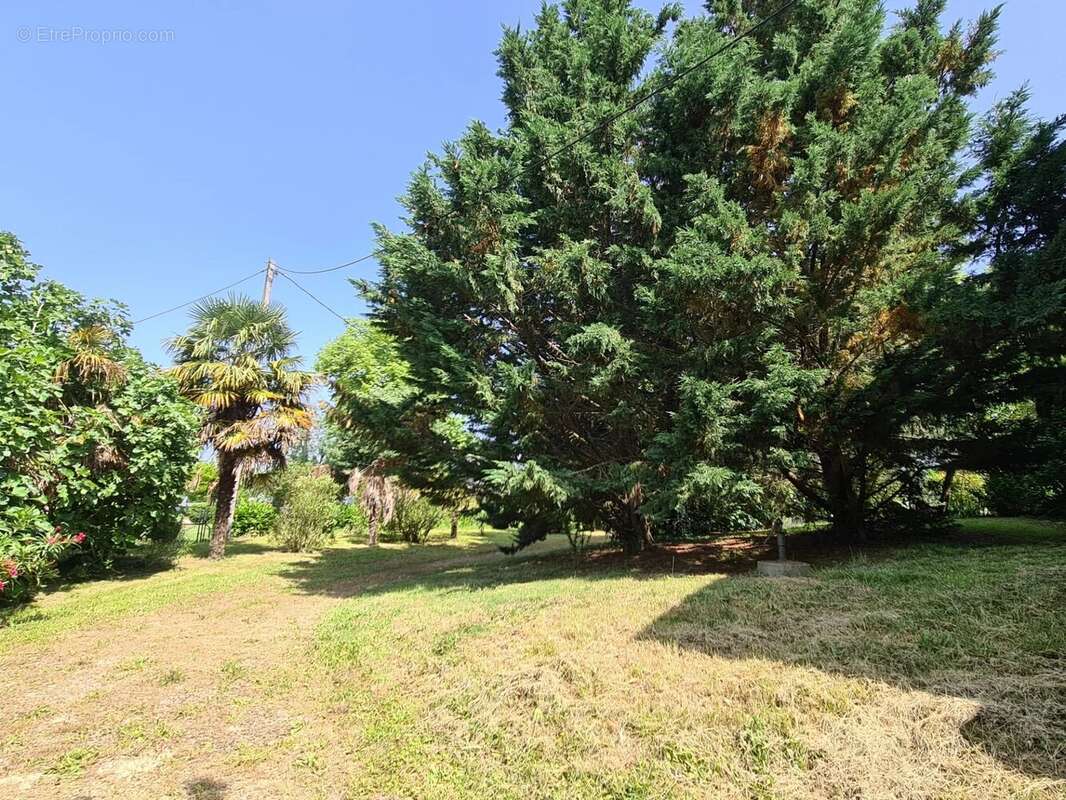 Maison à MONTASTRUC-LA-CONSEILLERE