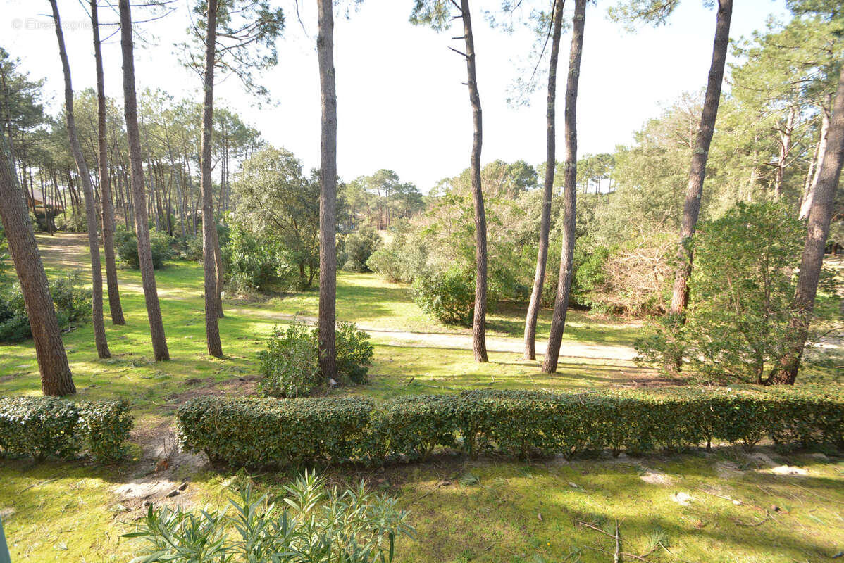 Appartement à LACANAU