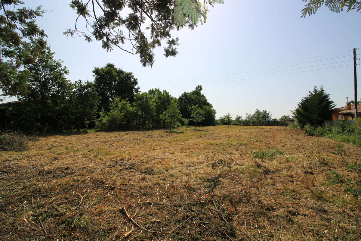 Ideal investisseur, terrain constructible de 1014m2 avec tae. - photo 4