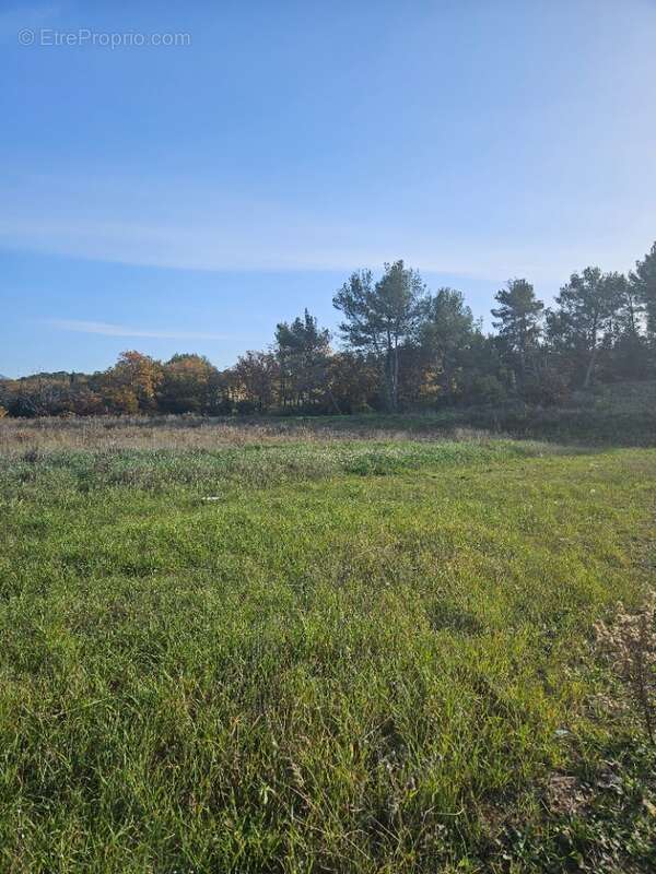 Terrain 990 m² à Peynier  - photo 5