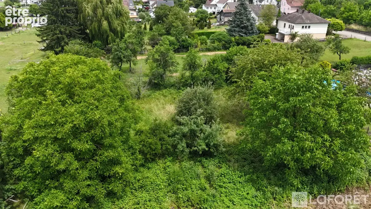 Terrain Zillisheim 1172 m2 - photo 2