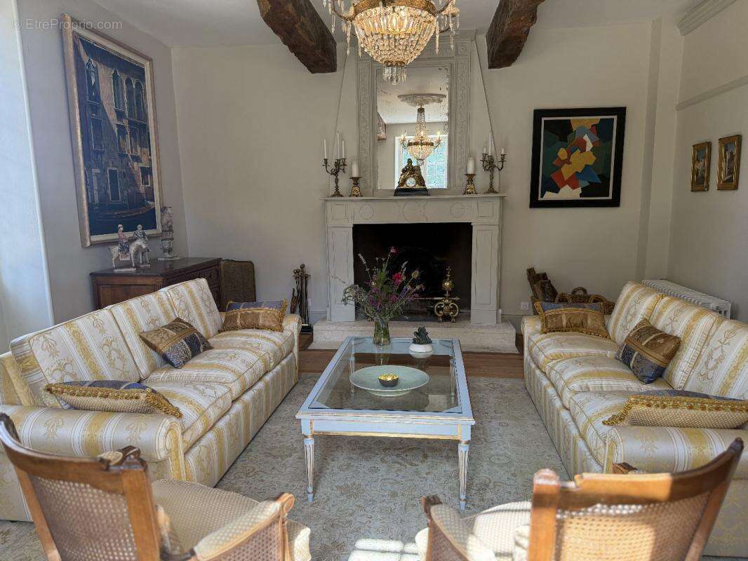 Magnifique propriété avec manoir et vaste parc - photo 6