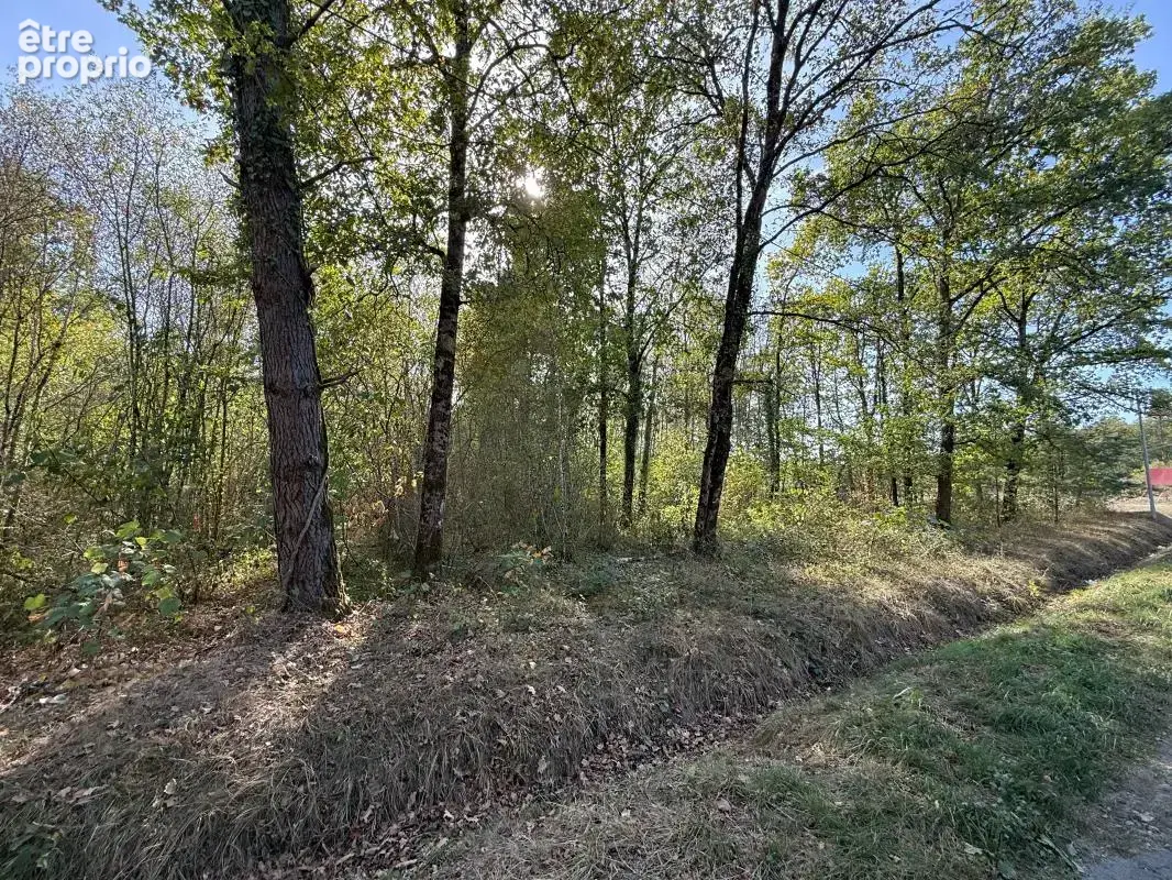 À VENDRE – Terrain boisé au calme - photo 3