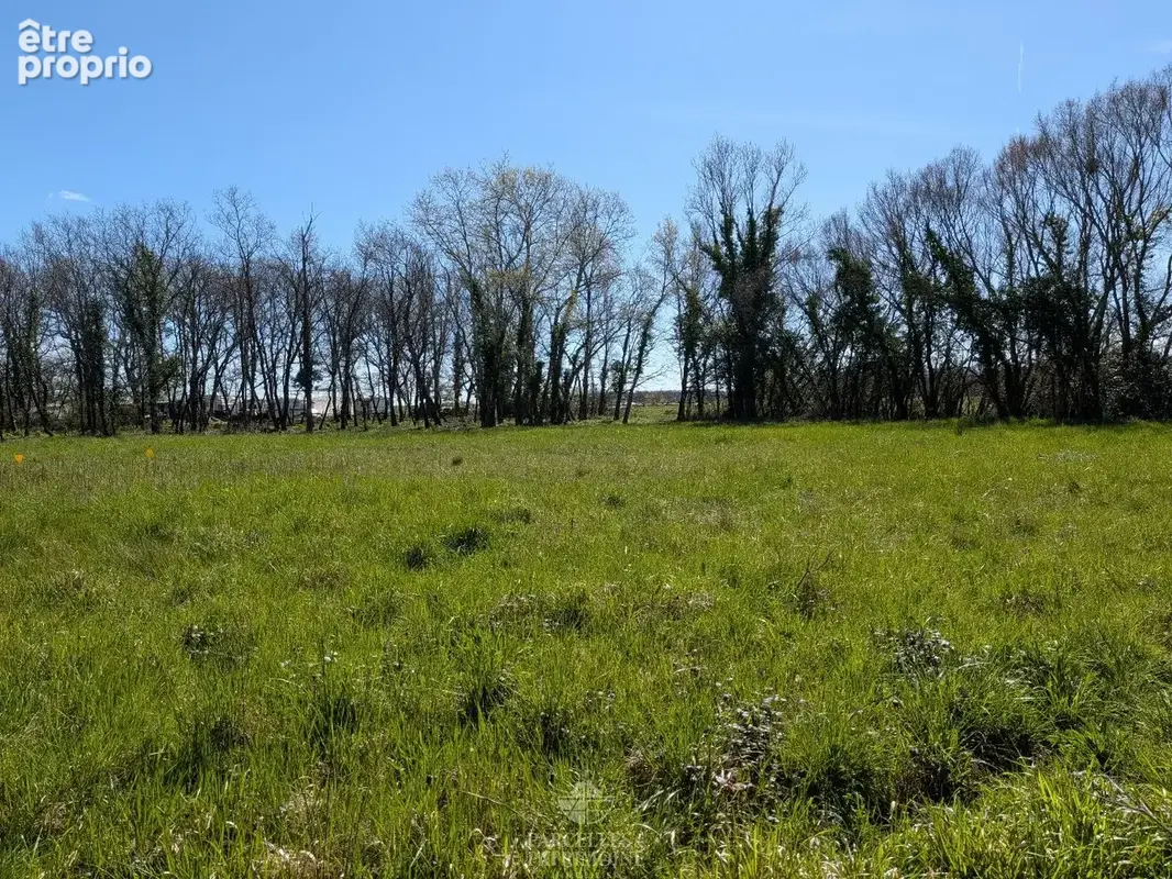 Exclusivité Terrain viabilisé quartier résidentiel 3 418m² - photo 3