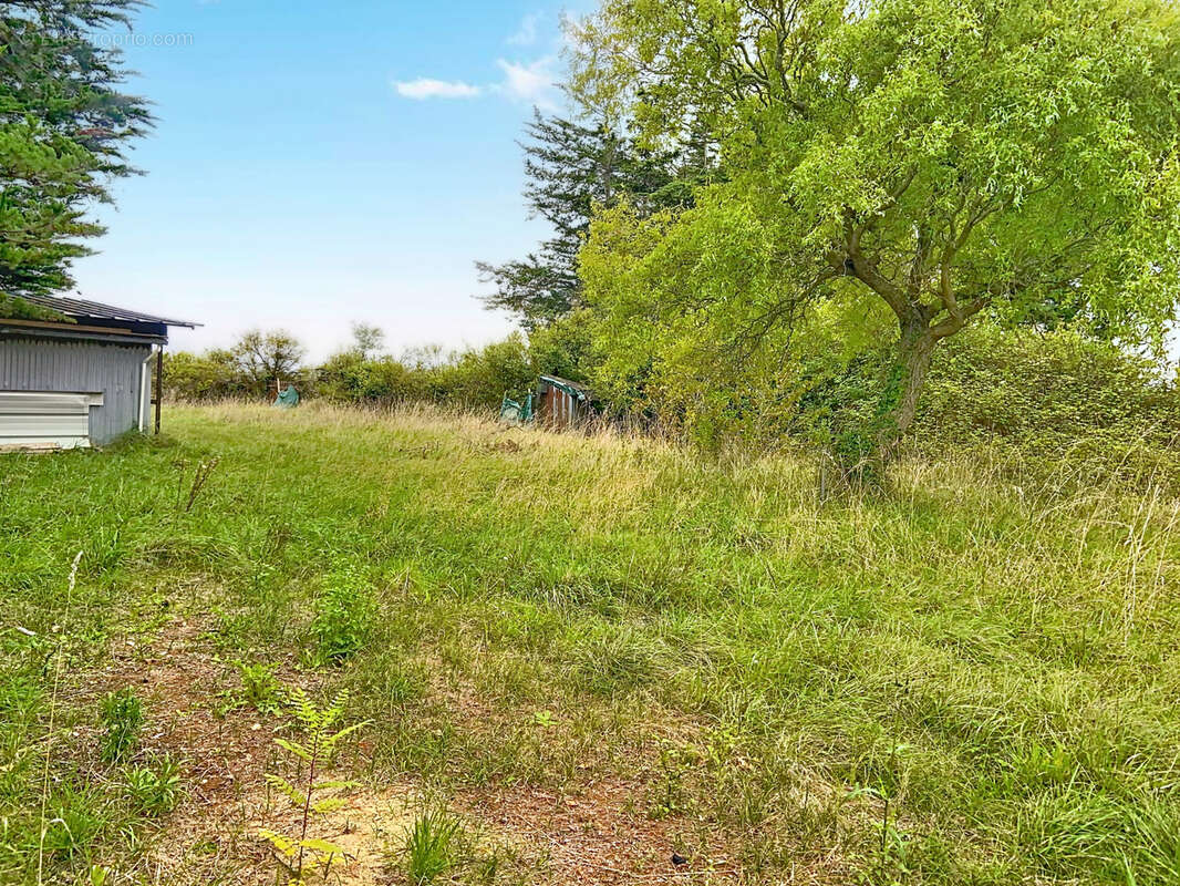 Terrain à SAINT-GERMAIN-SUR-AY