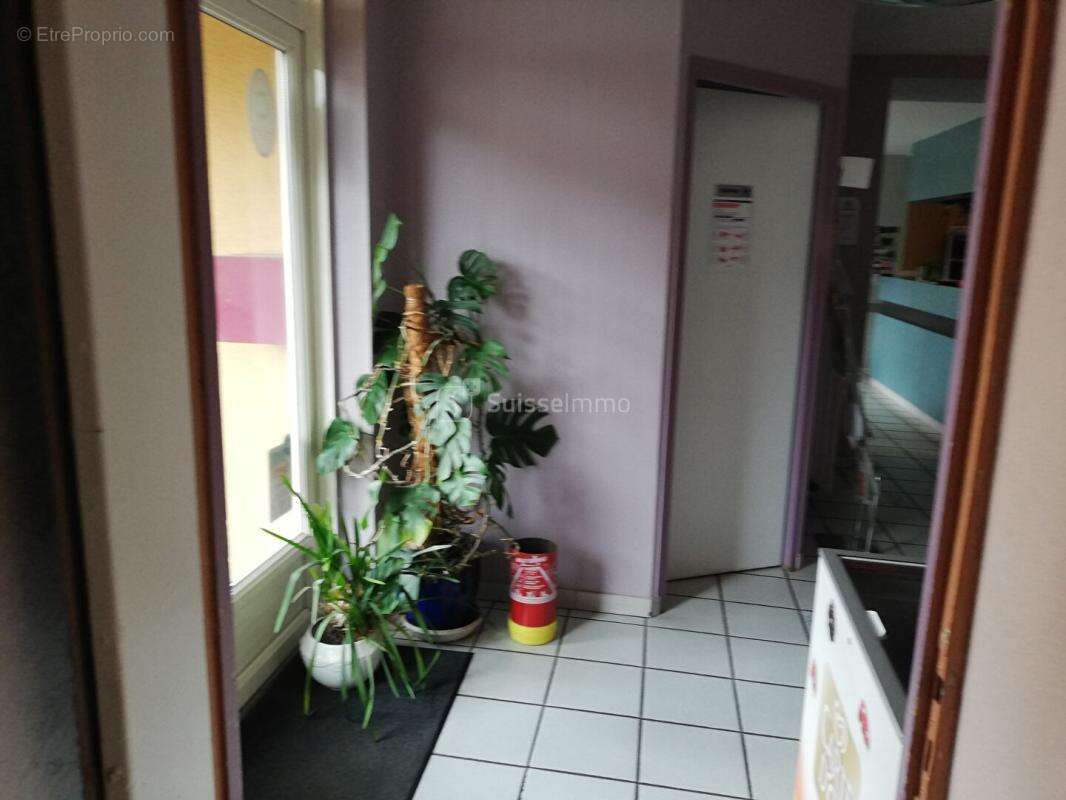 Grande Maison bord de Saône 10 pièce(s) 550 m2  avec terrasse et Parking - photo 12