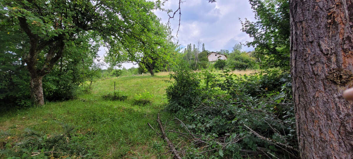 Terrain à BELLEGARDE-SUR-VALSERINE