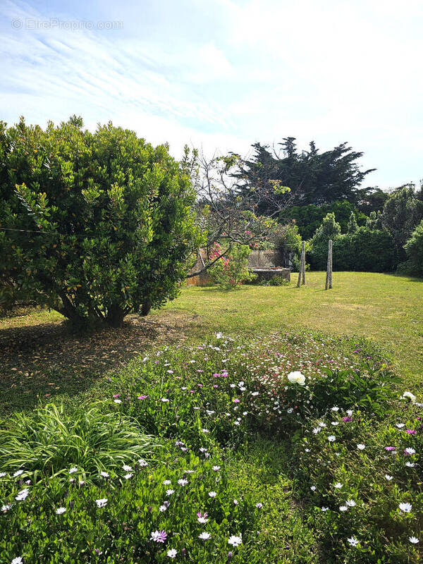 Maison à L'ILE-D'YEU