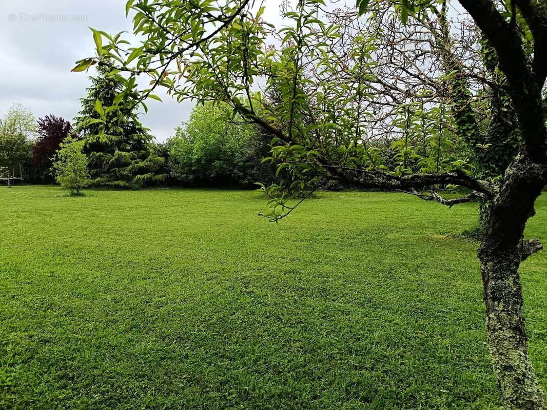 Photo 2 - Terrain à COURS-DE-PILE