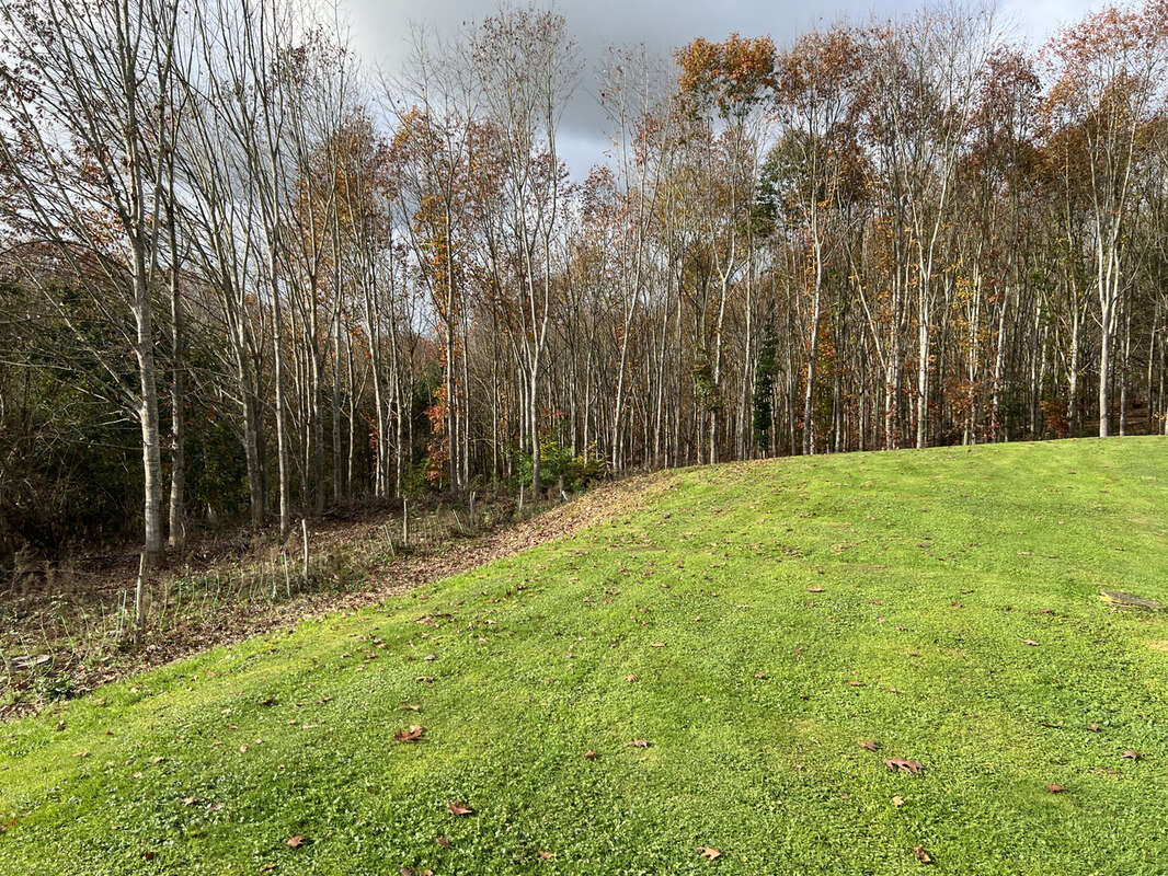 Maison à L'ISLE-EN-DODON