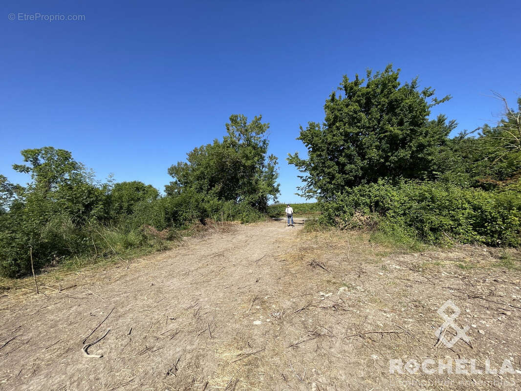 Terrain à SAINT-CREPIN