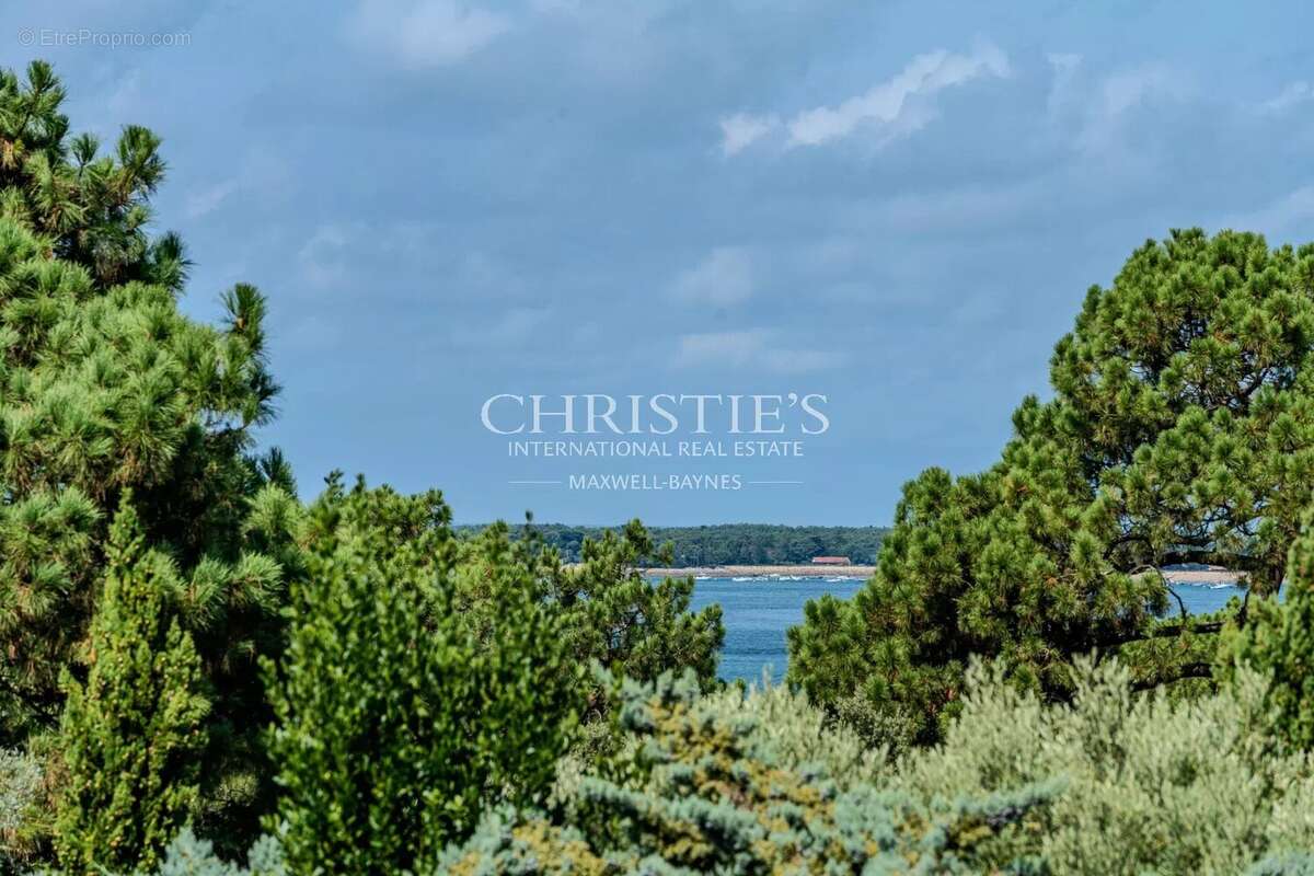 Maison à LE BOUSCAT