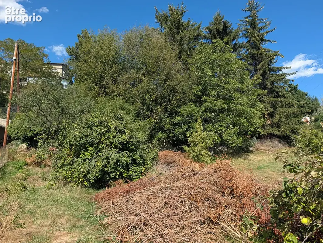 Parcelle - enveitg - photo 9