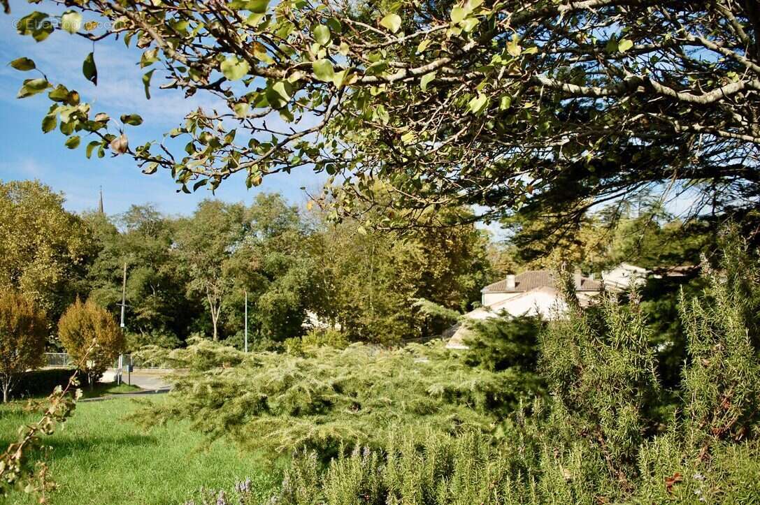 Terrain à MIRAMBEAU