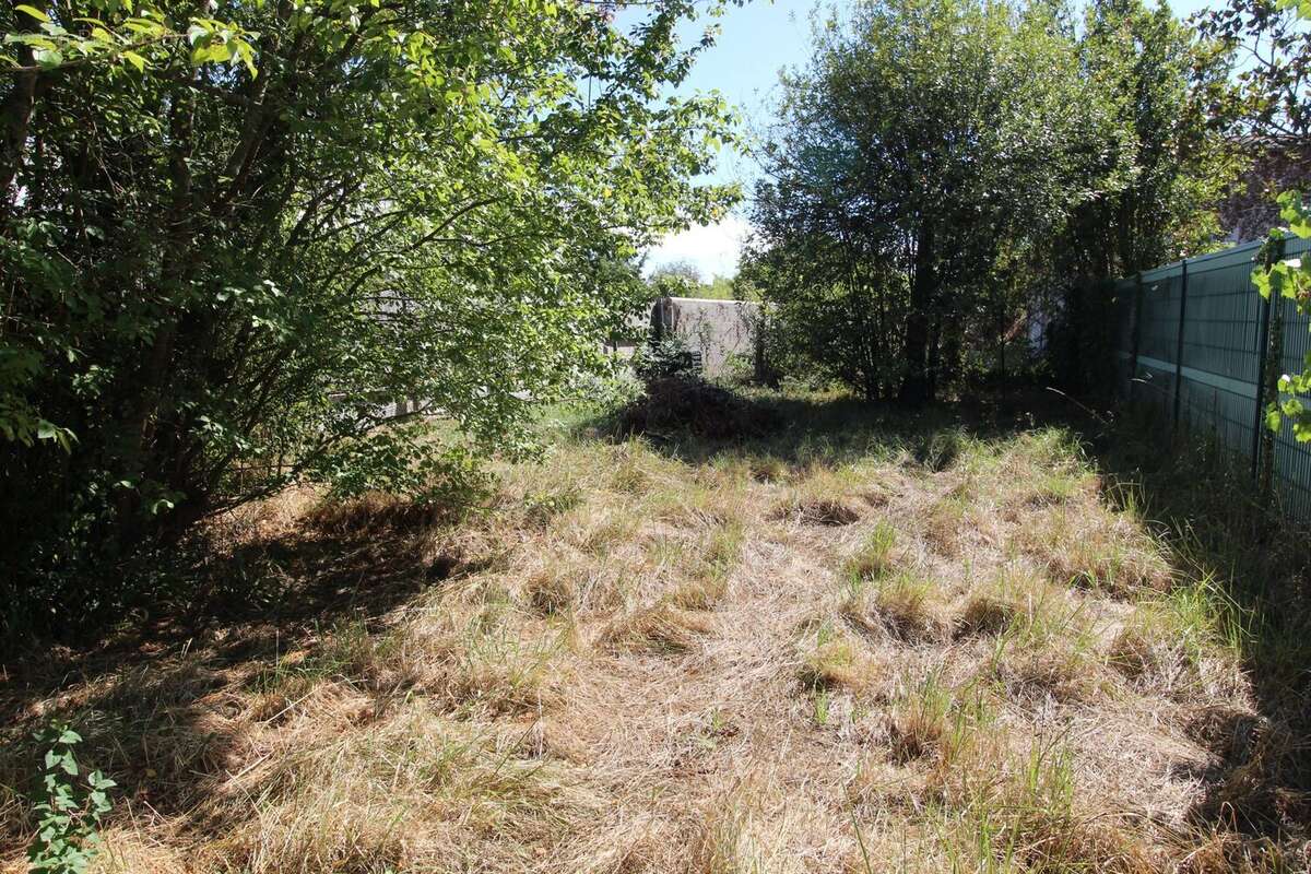 Maison 52 m² à Saint-Palais-Sur-Mer  - photo 3