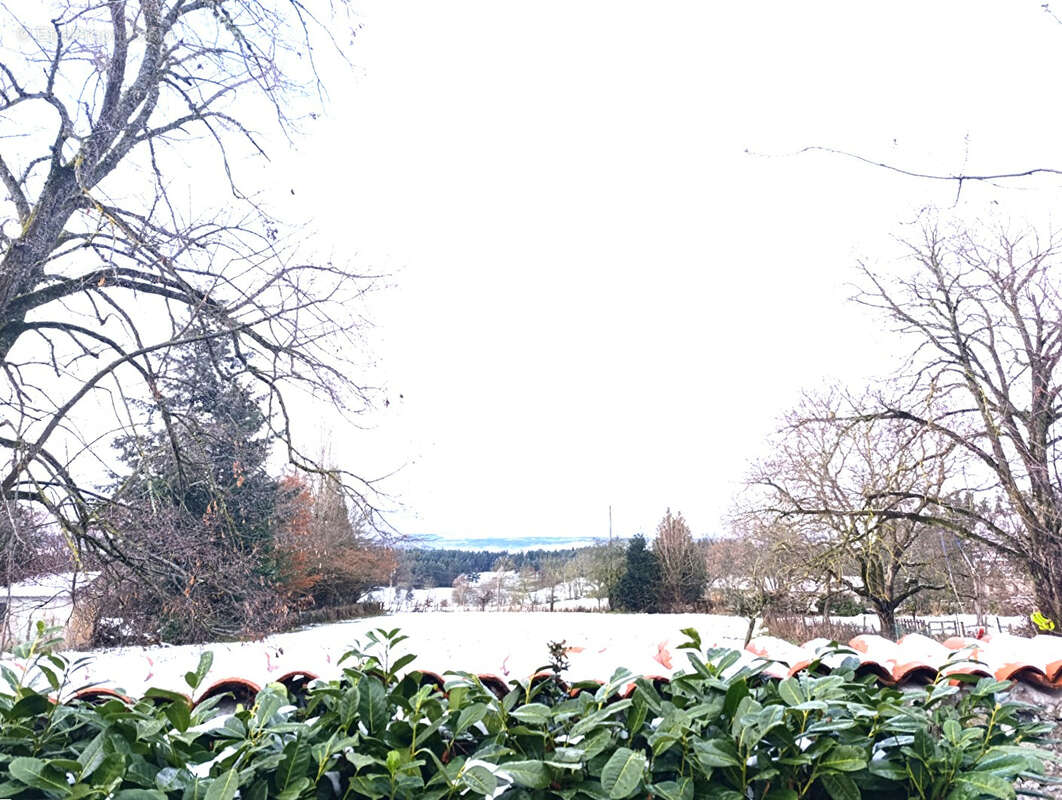Autre à SAINT-PIERRE-DU-CHAMP