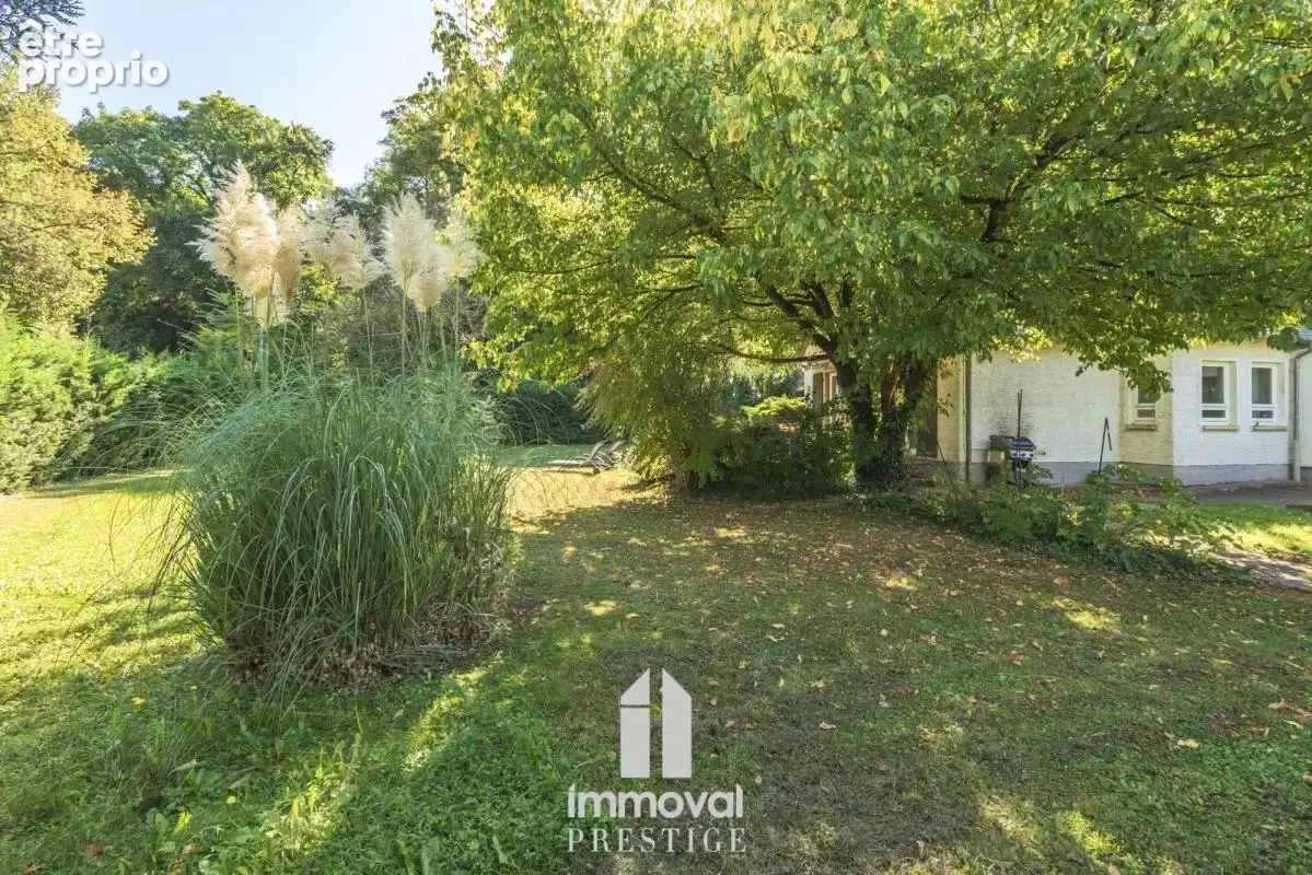 Robertsau-maison 208m2-5 ares - photo 10