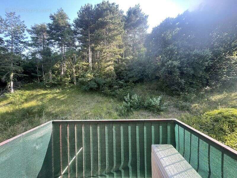 Appartement 45 m² à Amelie-Les-Bains-Palalda  - photo 9