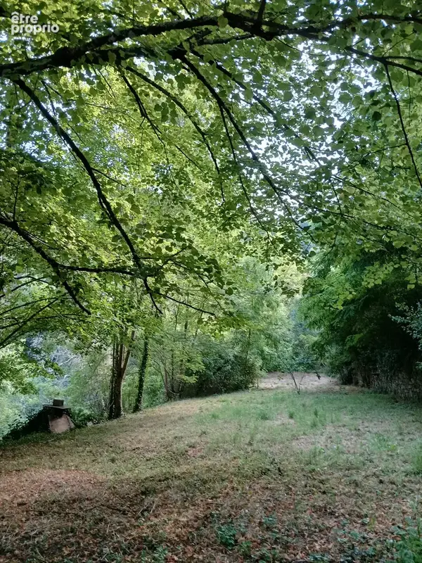 MAS 360 de volume + 25 hectares. - photo 20