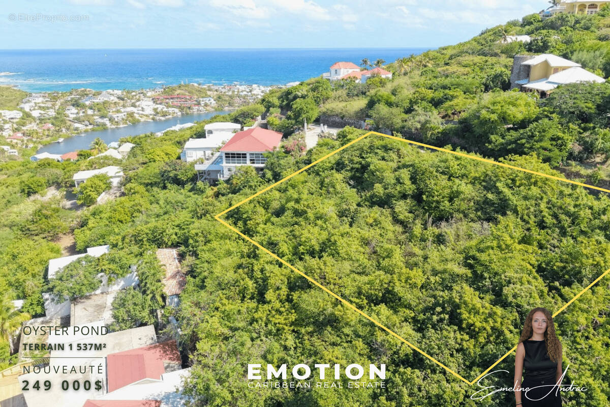 Terrain à SAINT-MARTIN